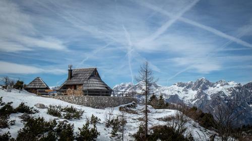 Ko?a Ojstrica - Velika Planina