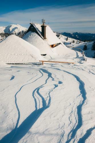 Ko?a Ojstrica - Velika Planina