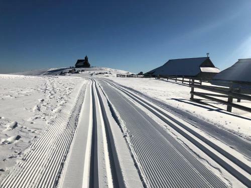 Ko?a Ojstrica - Velika Planina