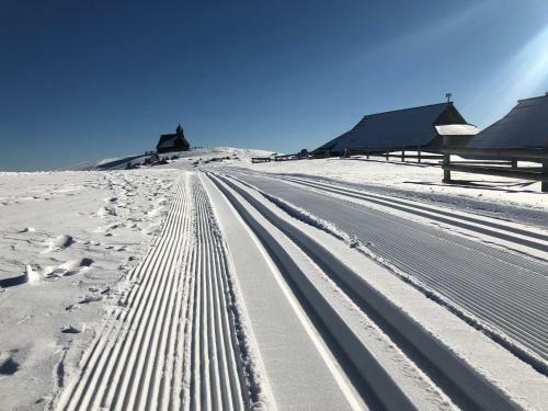 Ko?a Ojstrica - Velika Planina