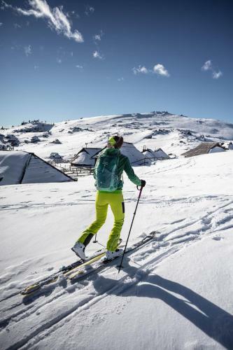 Ko?a Ojstrica - Velika Planina