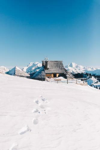 Ko?a Ojstrica - Velika Planina