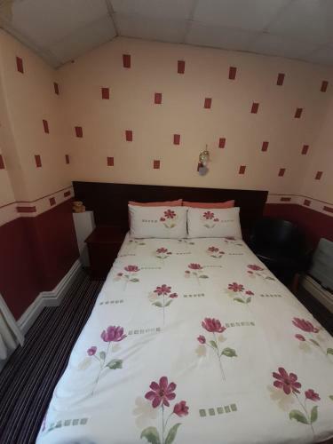 Bed & Breakfast Albion Hotel