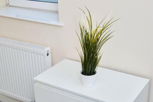 Large Bristol Apartment-sleeps 11 -parking -wifi