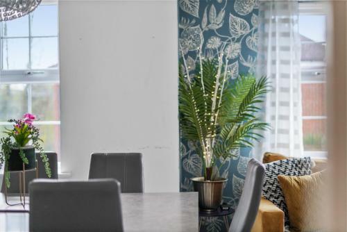 Canterbury Modern Colourful Gem Apartment