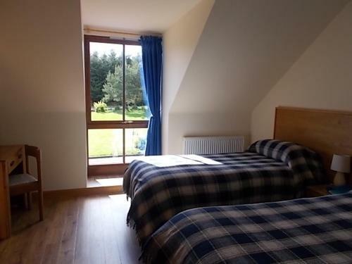 Bed & Breakfast Forest View