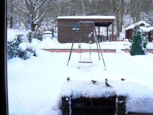 Hostal Pammy's Family Annexe Exclusive Use