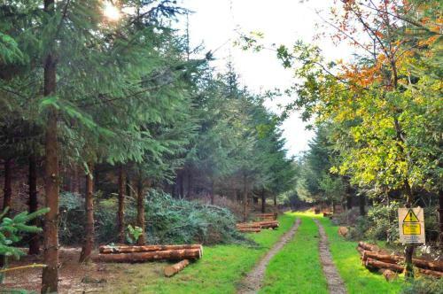 Apartamento Authentic Mongolian Yurt