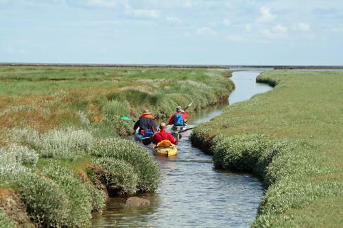 Bed & Breakfast Waddenhoes Gastenverblijven