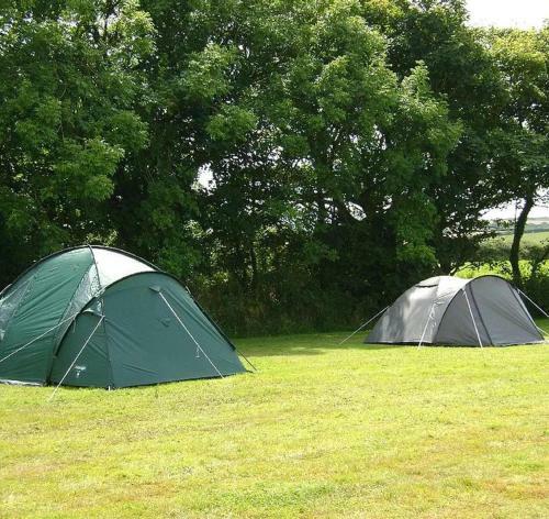 Personal Pitch Tent 6 Persons Glamping 13