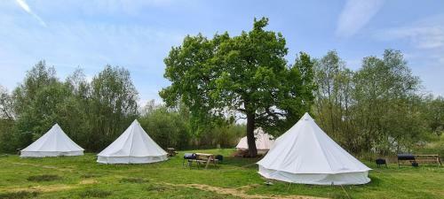 4 Meter Bell Tent - Up To 4 Persons Glamping 8