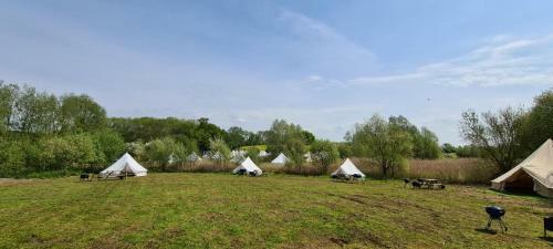 Personal Pitch Tent 6 Persons Glamping 31