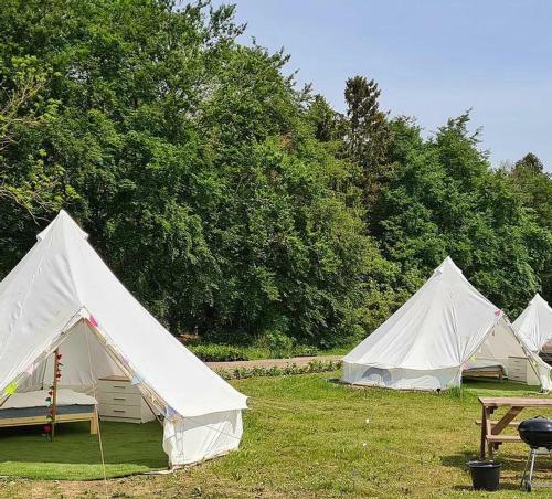 4 Meter Bell Tent - Up To 4 Persons Glamping 2