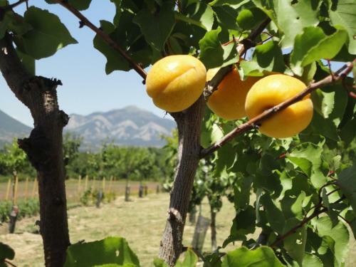 Un Gite de Charme En Haute Provence