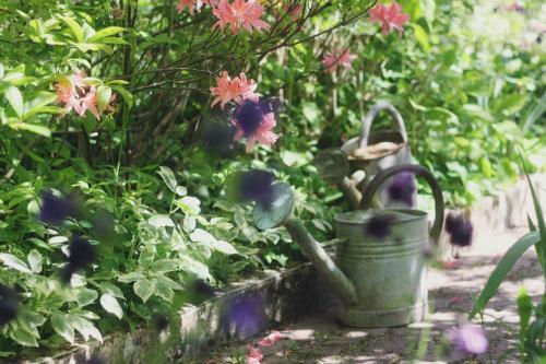 Bed & Breakfast Le Bonheur � La Campagne