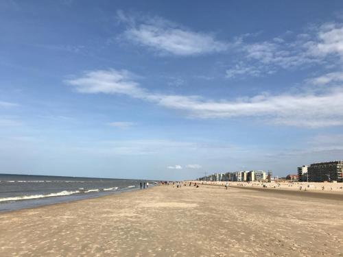 Apartamento Koksijde App Zeelaan C4