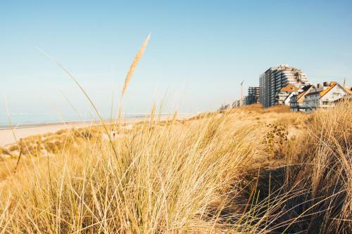 Apartamento Residentie Duindoorn