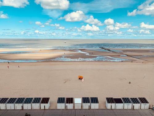 Apartamento New - Wonderful Architect Designed Flat With Sea View