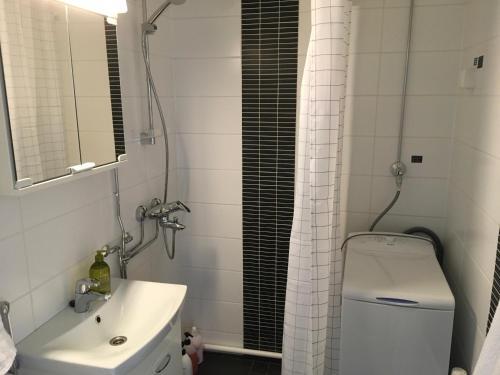 Lapland Quality City Apartment Rovaniemi