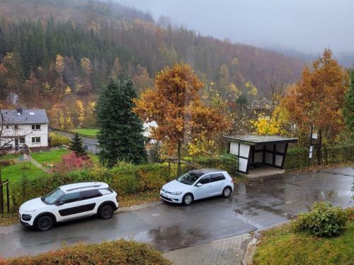 Serene Holiday Home In Brilon-wald With Terrace