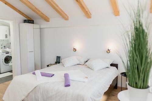 Studio Apartment Harmony Np Krka
