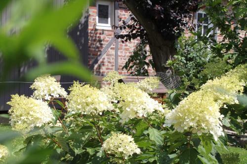Bed & Breakfast Chambres D'h�tes L'aubaine Avec Jacuzzi
