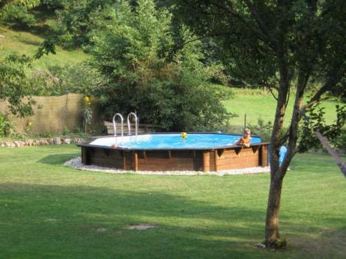 Bed & Breakfast Papilio