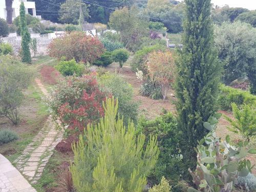 Guest House B&B Pietra Bianca