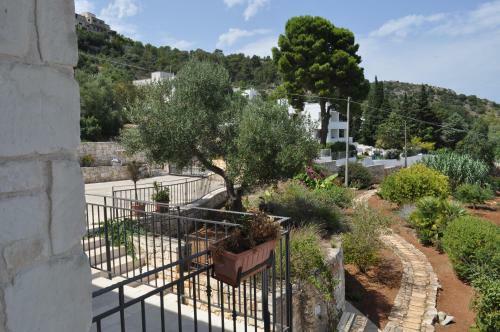 Guest House B&B Pietra Bianca