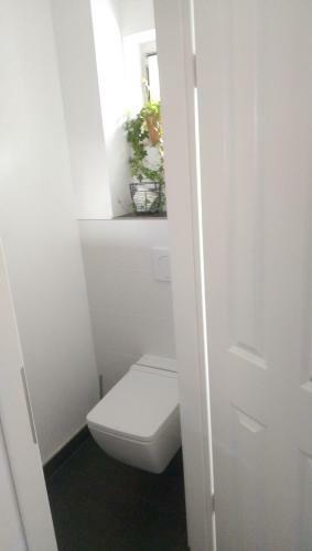 Apartamento Ferienwohnung Am Gr�nen Zipfel