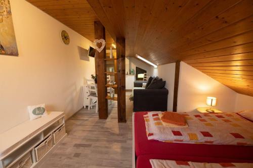 Apartamento Ferienhof-gerda-ferienwohnung-schwalbennest