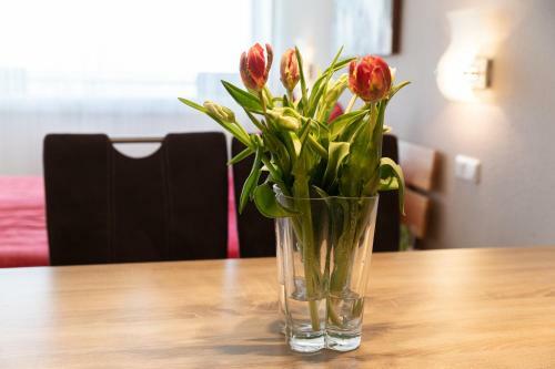 Apartment "k�hler" Mit Berg- Und Bodenseesicht