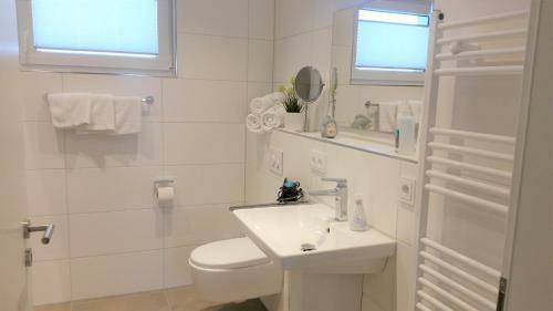 Apartment Sterntaucher