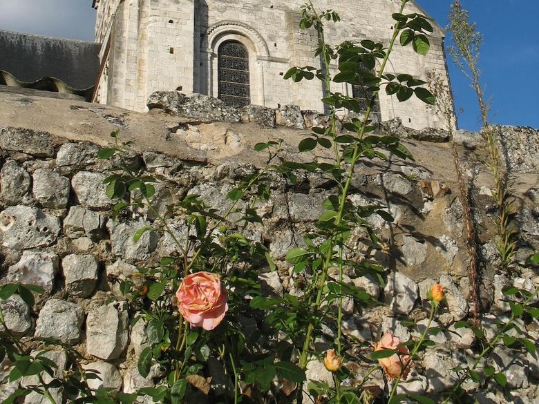Bed & Breakfast Chambres D'h�tes Les Hostises de Boscherville