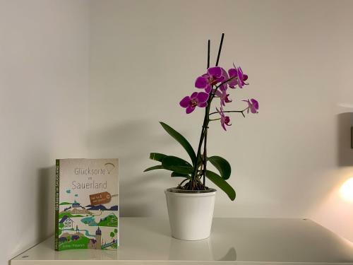 Apartamentos Ferienwohnung Zur Quelle