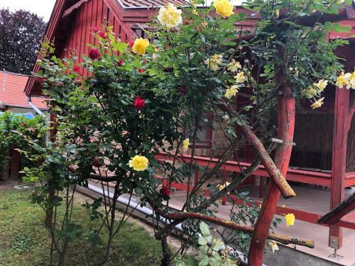 Apartamento Sz?ke Tisza Pihen?park