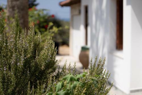 The Maisonette: Five Min From The Beach With View
