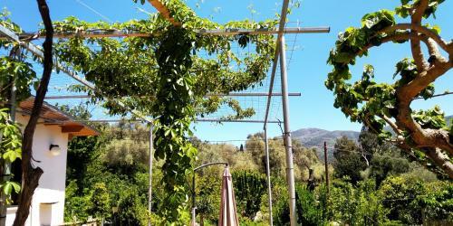 Apartamento Guesthouse Dramoundana