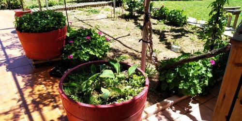 Apartamento Guesthouse Dramoundana