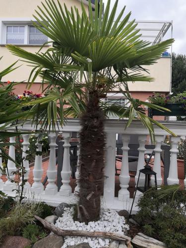 Apartamento Casa Hibiscus 2