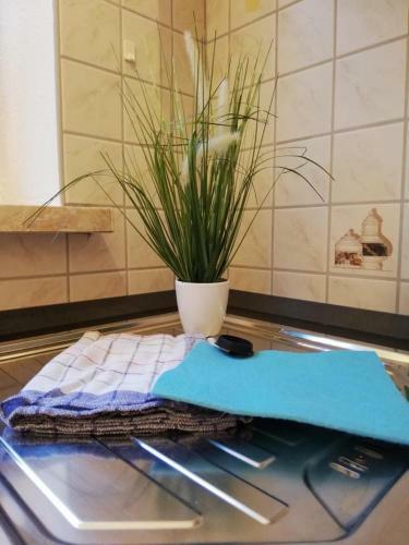 Apartamento Appartementhaus-bredner Bad Schandau