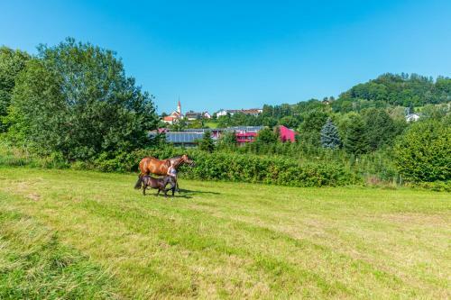 Familienhotel Reiterhof Runding