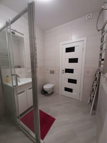 Apartment In Serbska Lviv