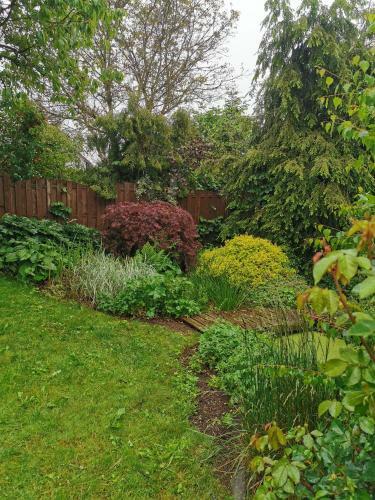 Apartamento Ferienhaus Lieblingsplatz Schleiz