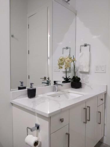 Apartamento Modern & Luxurious Suites In Surrey