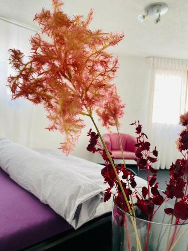 Apartamento Maisonette Franz