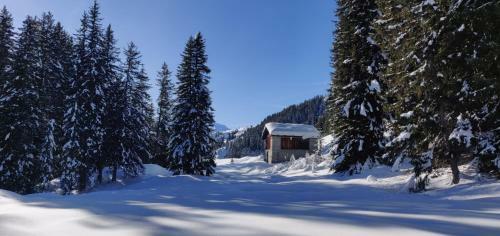 Apartamento Z Studio - Next Door To Vals Therme