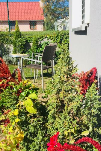 Apartm�n U Z�meck� Dyje
