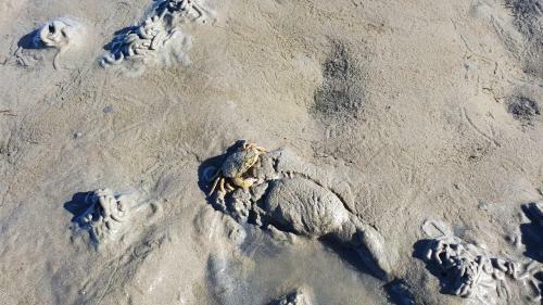 Apartamento Duhner Meerblick