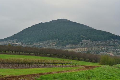 Pearl Of The Valley Hotel